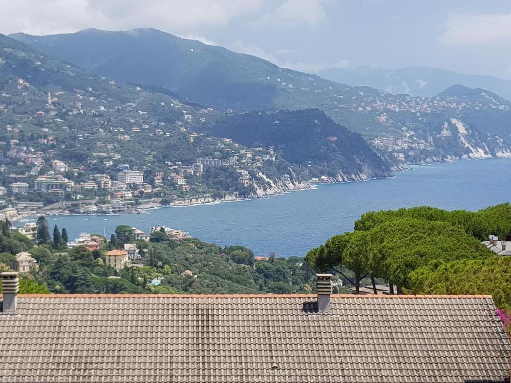 Residence Portofino Est 拉帕洛 外观 照片